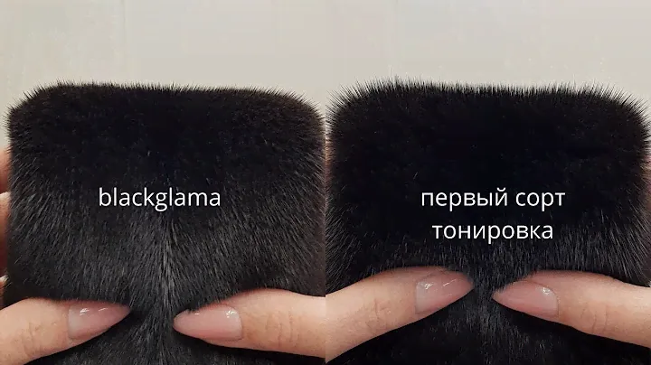 норка блэкглама